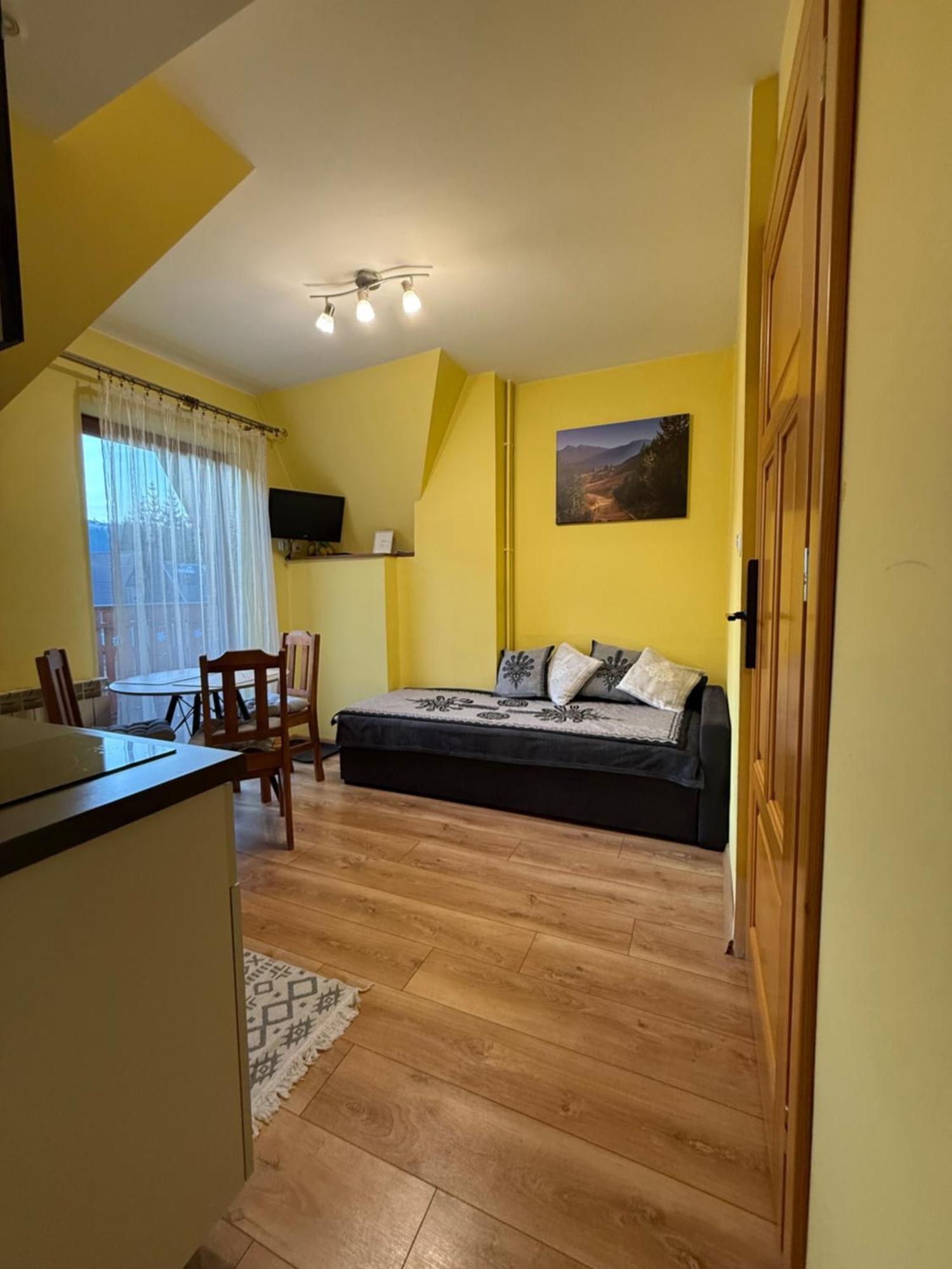 Apartamenty Nad Potokiem Aneta Burliga Закопане Екстер'єр фото